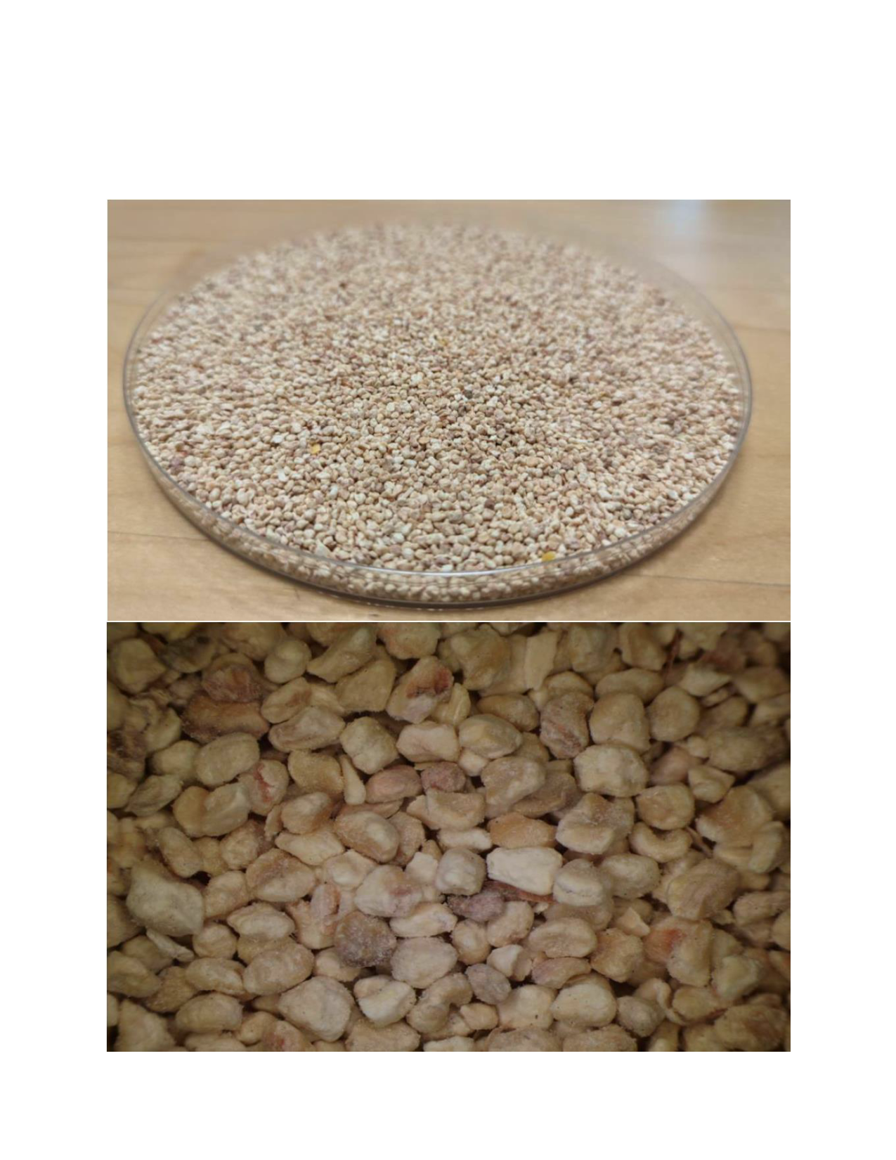 Introduction to Nature's Infill pg 2 _1